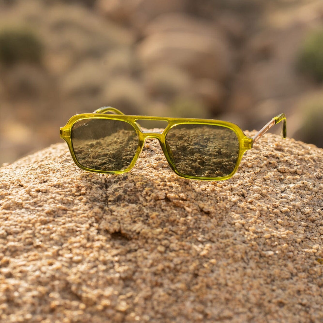 Yucca Tree | Olive & Sage Green Lens & Aviator Shape Frame Shop Wavey