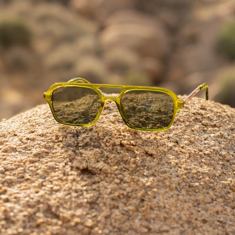 Yucca Tree | Olive & Sage Green Lens & Aviator Shape Frame Shop Wavey