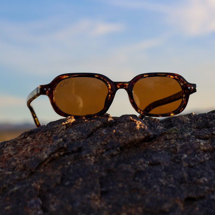 Sunglasses with brown lenses on a rock against a blue sky