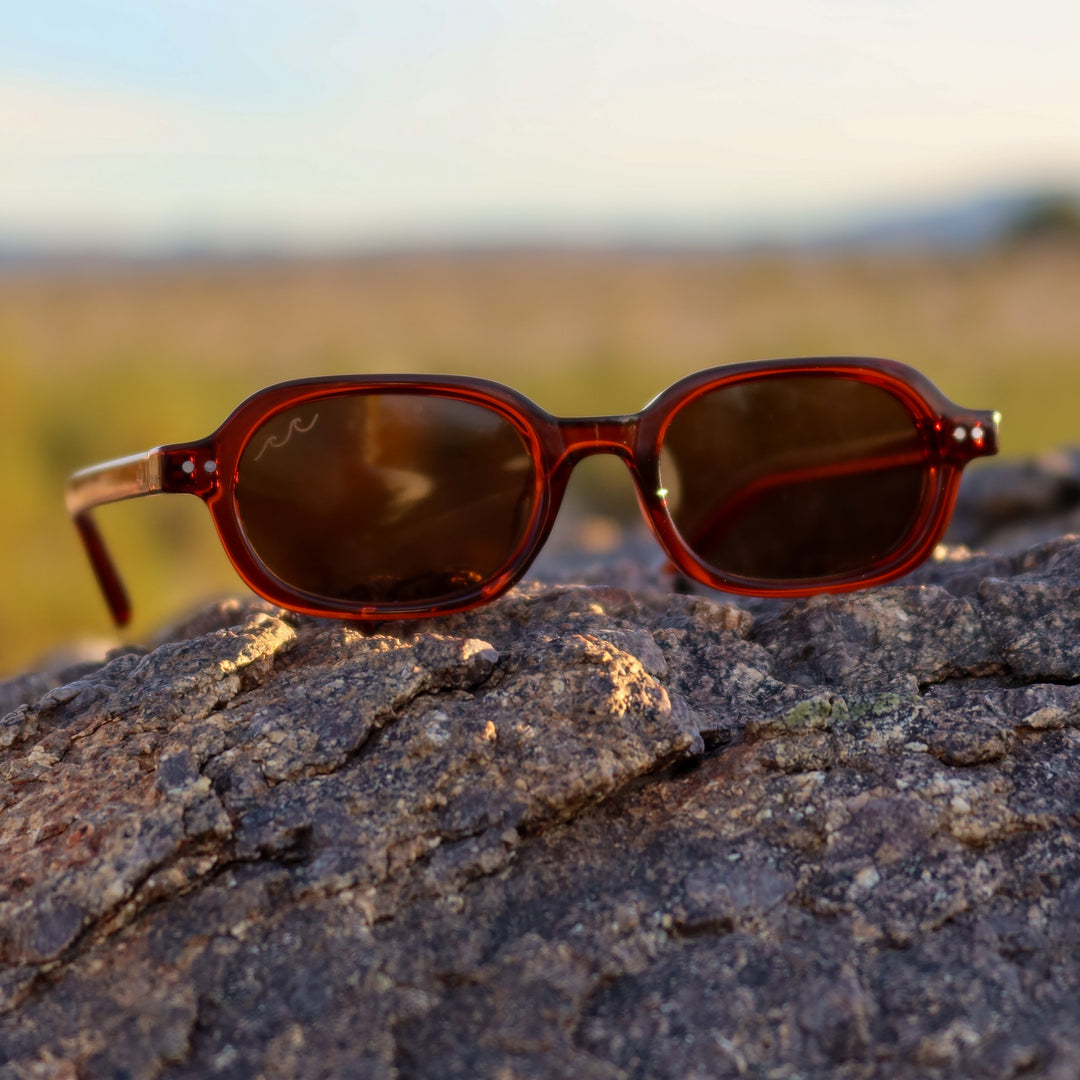 Sunglasses on a rock with a blurred natural background