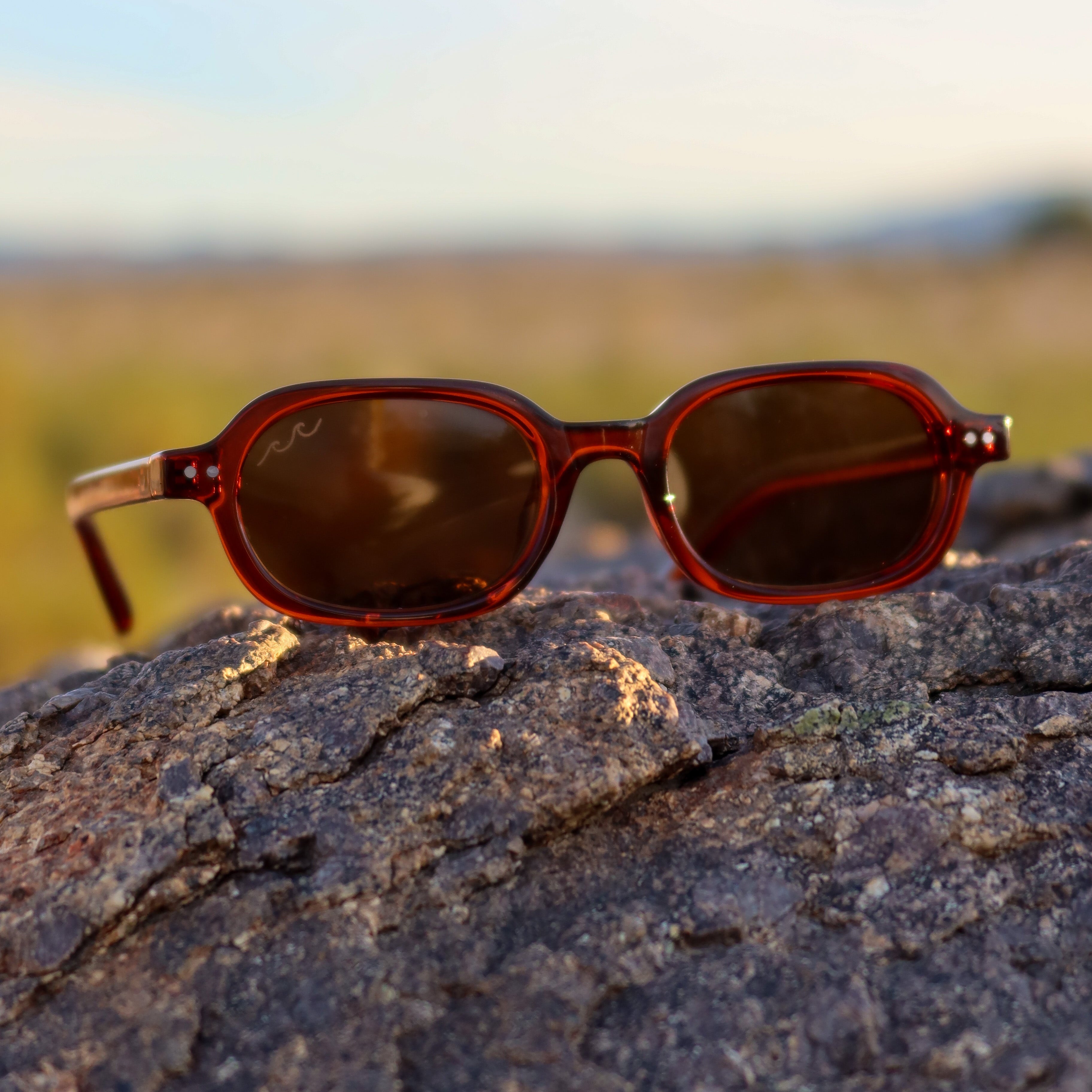 Sunglasses on a rock with a blurred natural background